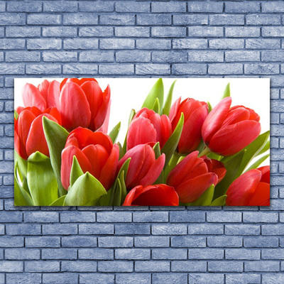 Tableaux sur verre acrylique Tulipes floral rouge vert