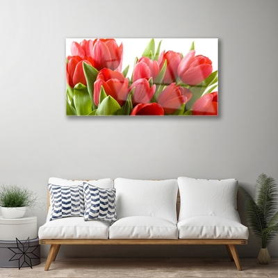 Tableaux sur verre acrylique Tulipes floral rouge vert