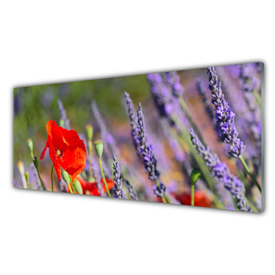 Tableaux sur verre acrylique Fleurs floral rouge violet vert