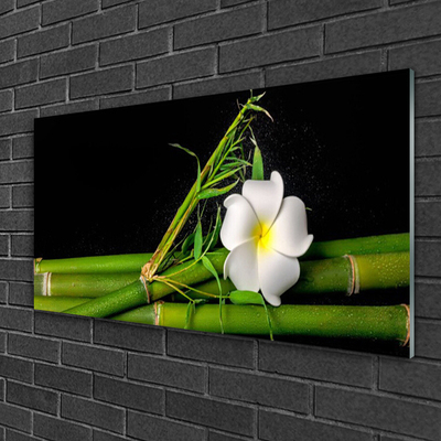 Tableaux sur verre acrylique Bambou fleur floral blanc vert