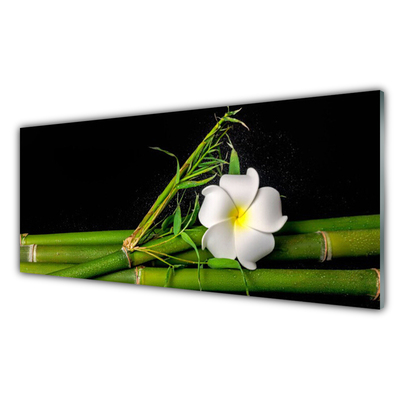 Tableaux sur verre acrylique Bambou fleur floral blanc vert