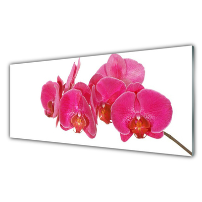 Tableaux sur verre acrylique Fleurs floral rouge