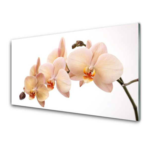 Tableaux sur verre acrylique Fleurs floral blanc brun