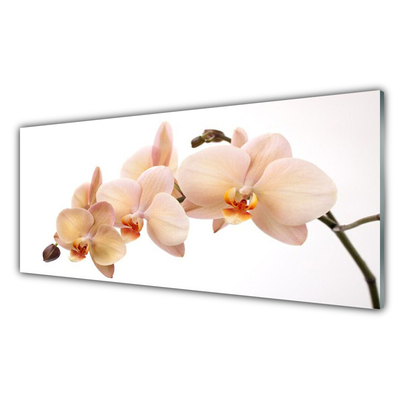Tableaux sur verre acrylique Fleurs floral blanc brun
