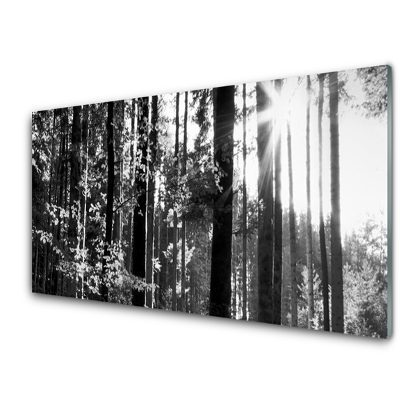 Tableaux sur verre acrylique Forêt nature gris