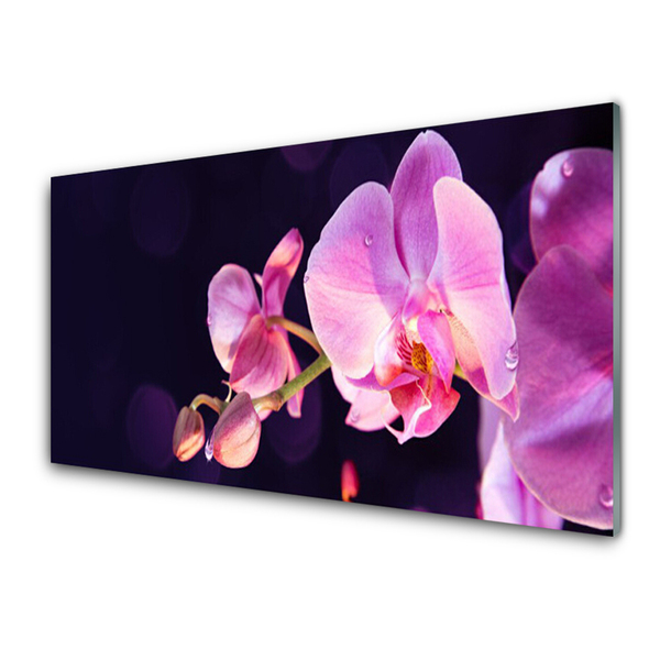 Tableaux sur verre acrylique Fleurs floral rose violet