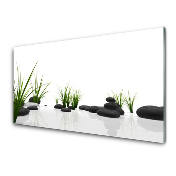 Tableaux sur verre acrylique Pierres herbe art noir vert