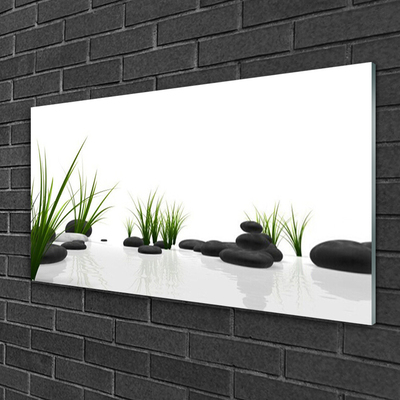 Tableaux sur verre acrylique Pierres herbe art noir vert