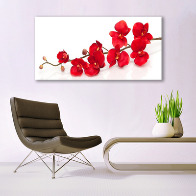 Tableaux sur verre acrylique Fleurs floral rouge