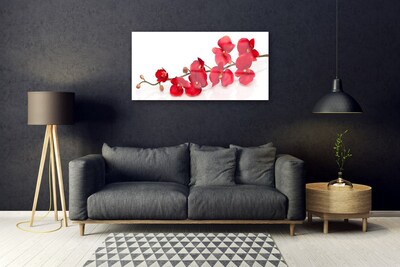 Tableaux sur verre acrylique Fleurs floral rouge