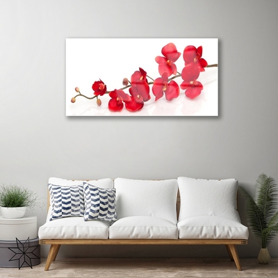 Tableaux sur verre acrylique Fleurs floral rouge