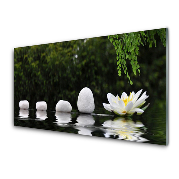 Tableaux sur verre acrylique Pierres fleur art blanc vert