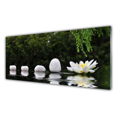 Tableaux sur verre acrylique Pierres fleur art blanc vert