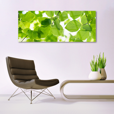 Tableaux sur verre acrylique Feuilles floral vert
