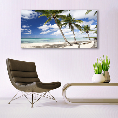 Tableaux sur verre acrylique Mer plage palmiers paysage bleu brun vert