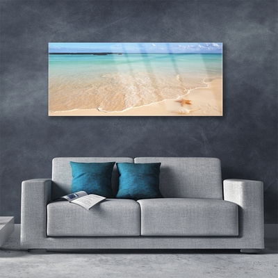 Tableaux sur verre acrylique Mer plage étoile de mer paysage bleu brun