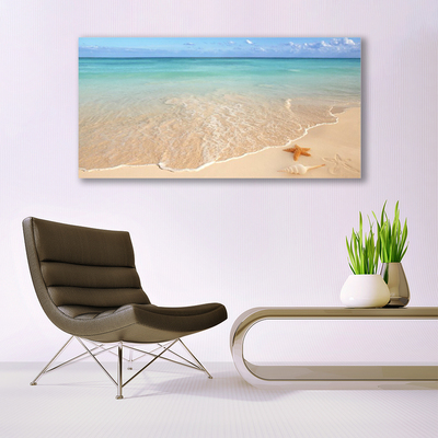 Tableaux sur verre acrylique Mer plage étoile de mer paysage bleu brun