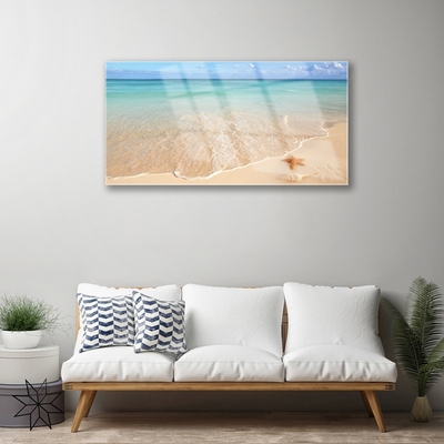 Tableaux sur verre acrylique Mer plage étoile de mer paysage bleu brun