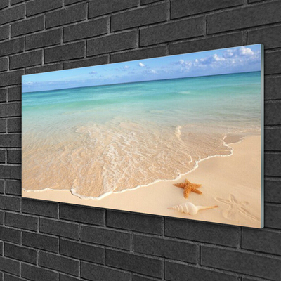 Tableaux sur verre acrylique Mer plage étoile de mer paysage bleu brun
