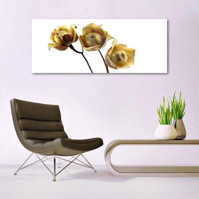 Tableaux sur verre acrylique Fleurs floral vert brun