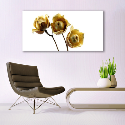 Tableaux sur verre acrylique Fleurs floral vert brun