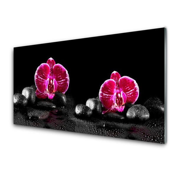 Tableaux sur verre acrylique Fleurs pierres floral noir rouge