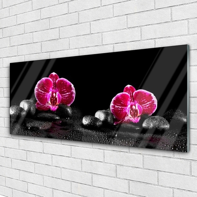Tableaux sur verre acrylique Fleurs pierres floral noir rouge