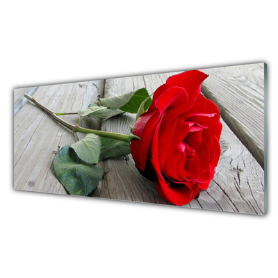 Tableaux sur verre acrylique Rose floral rouge vert