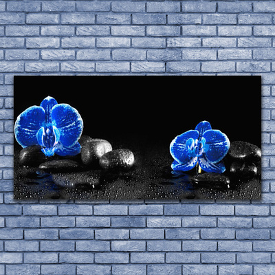 Tableaux sur verre acrylique Fleurs pierres floral bleu noir