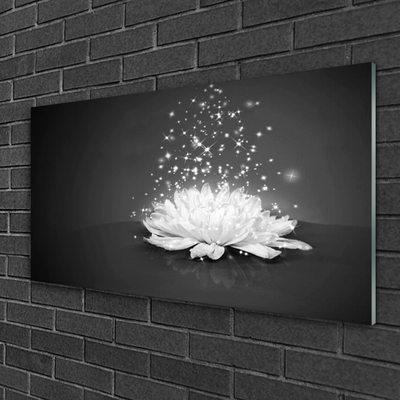Tableaux sur verre acrylique Fleur floral blanc gris