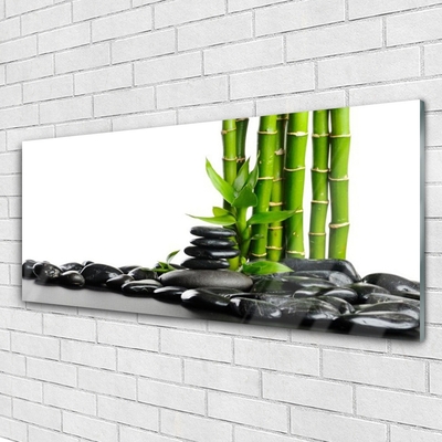 Tableaux sur verre acrylique Bambou pierres art vert noir