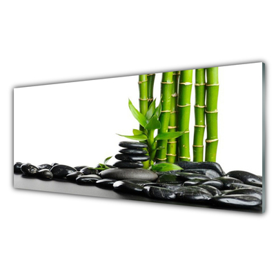 Tableaux sur verre acrylique Bambou pierres art vert noir