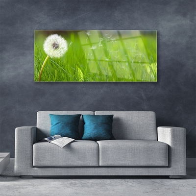 Tableaux sur verre acrylique Pissenlit herbe floral blanc vert