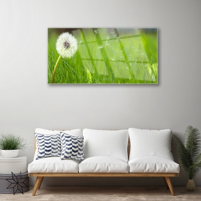 Tableaux sur verre acrylique Pissenlit herbe floral blanc vert