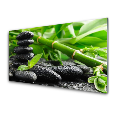 Tableaux sur verre acrylique Bambou pierres floral vert noir