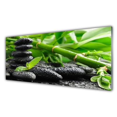 Tableaux sur verre acrylique Bambou pierres floral vert noir