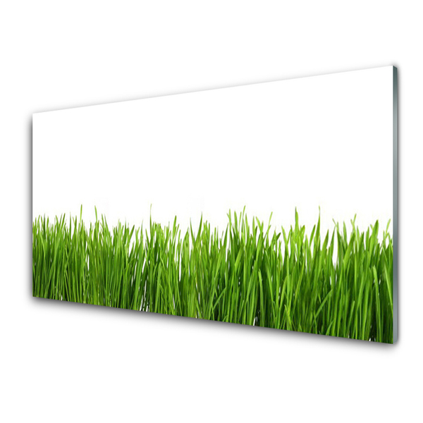 Tableaux sur verre acrylique Herbe nature vert