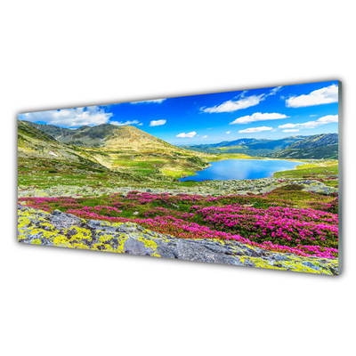 Tableaux sur verre acrylique Montagne baie prairie nature multicolore