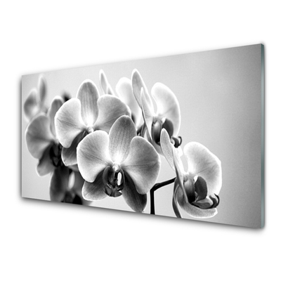 Tableaux sur verre acrylique Fleurs floral gris