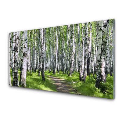 Tableaux sur verre acrylique Forêt sentier nature vert brun blanc noir