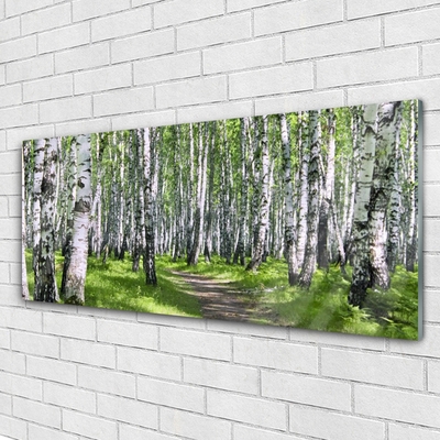 Tableaux sur verre acrylique Forêt sentier nature vert brun blanc noir