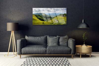 Tableaux sur verre acrylique Montagne prairie paysage vert gris