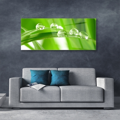 Tableaux sur verre acrylique Feuilles floral vert