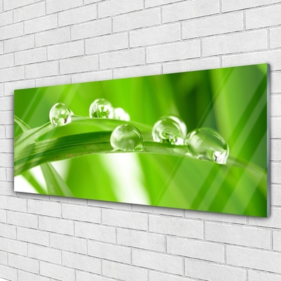 Tableaux sur verre acrylique Feuilles floral vert