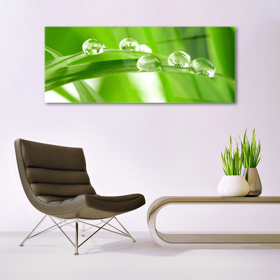 Tableaux sur verre acrylique Feuilles floral vert