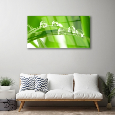 Tableaux sur verre acrylique Feuilles floral vert