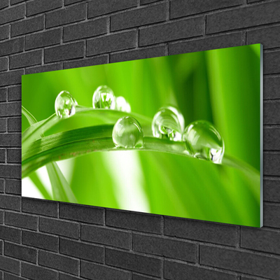 Tableaux sur verre acrylique Feuilles floral vert