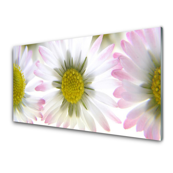 Tableaux sur verre acrylique Marguerite floral vert gris blanc
