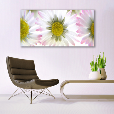 Tableaux sur verre acrylique Marguerite floral vert gris blanc