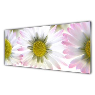 Tableaux sur verre acrylique Marguerite floral vert gris blanc